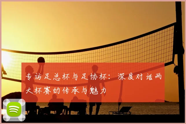 专访足总杯与足协杯：深度对话两大杯赛的传承与魅力